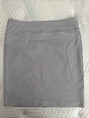 TAG Navy and White Short Skirt size 11 (medium)